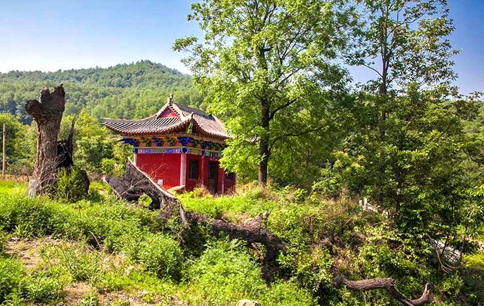 陕州区神泉中路金泉大酒店,陕州区神龙峡景区