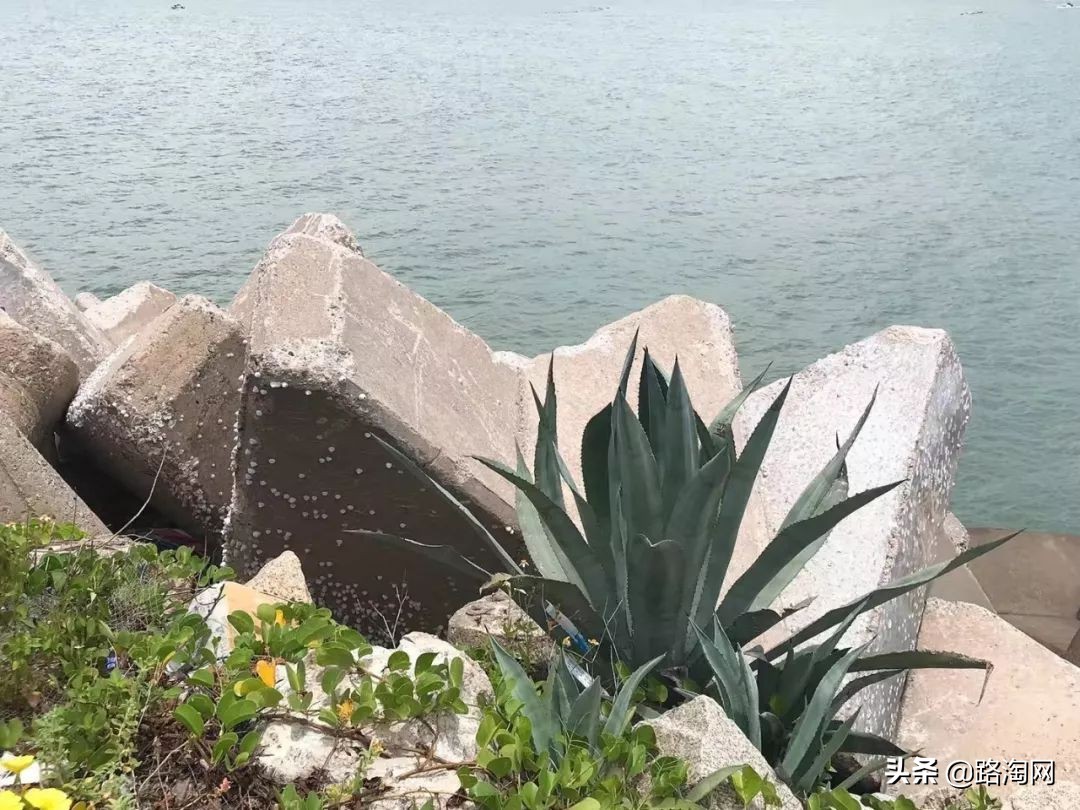 台湾好玩海岛,台湾好玩的小岛