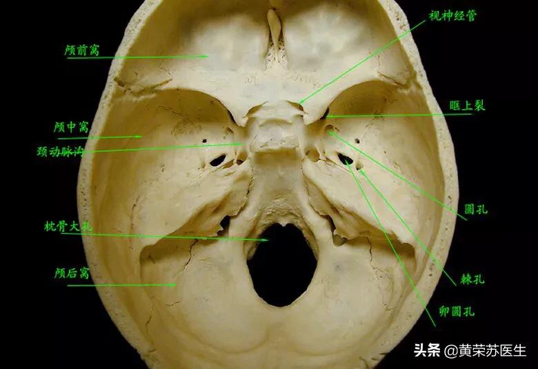 走进神秘的大脑世界：不同脑区损伤的临床表现（值得收藏）