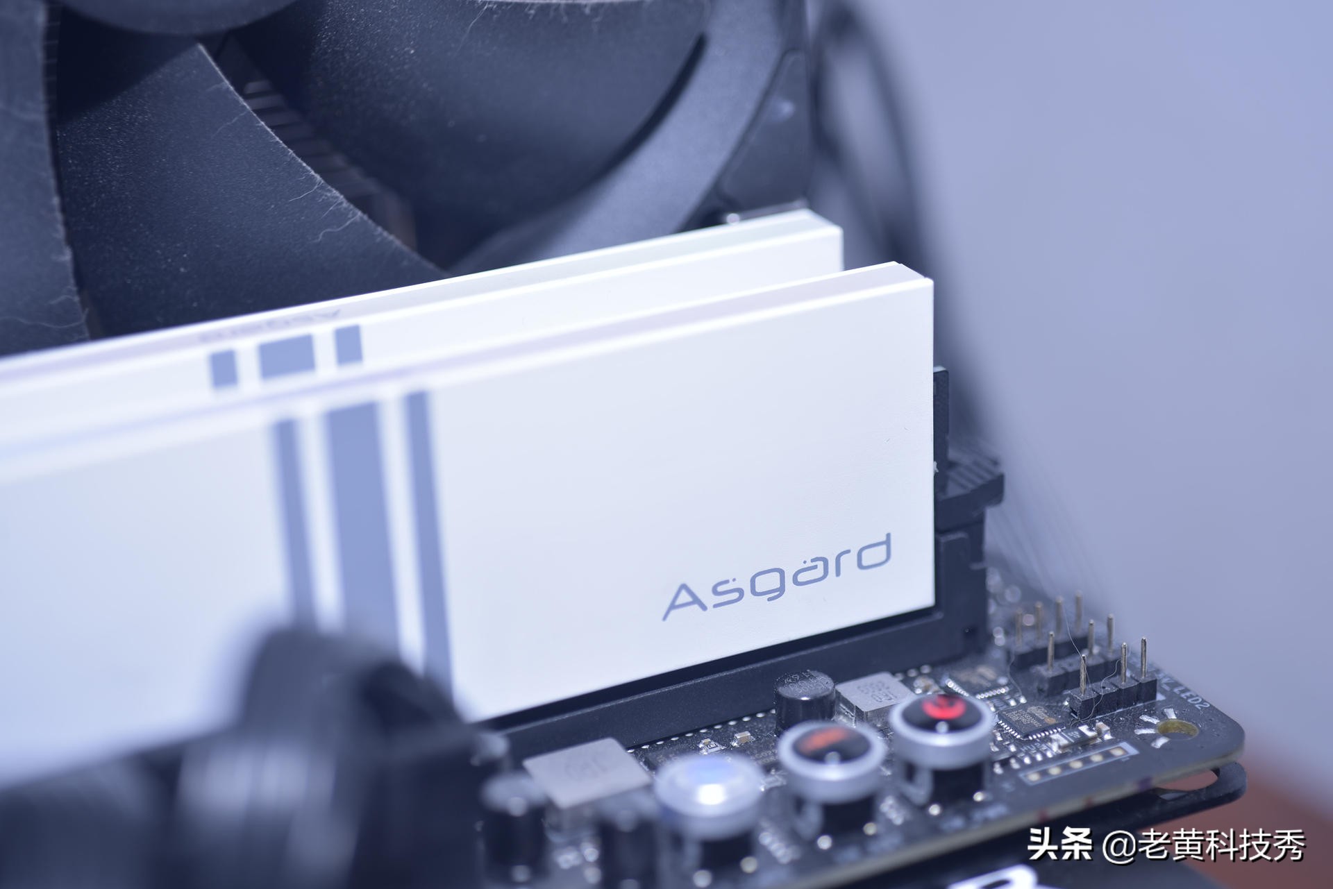 阿斯加特女武神选哪款,女武神阿斯加特内存条外观