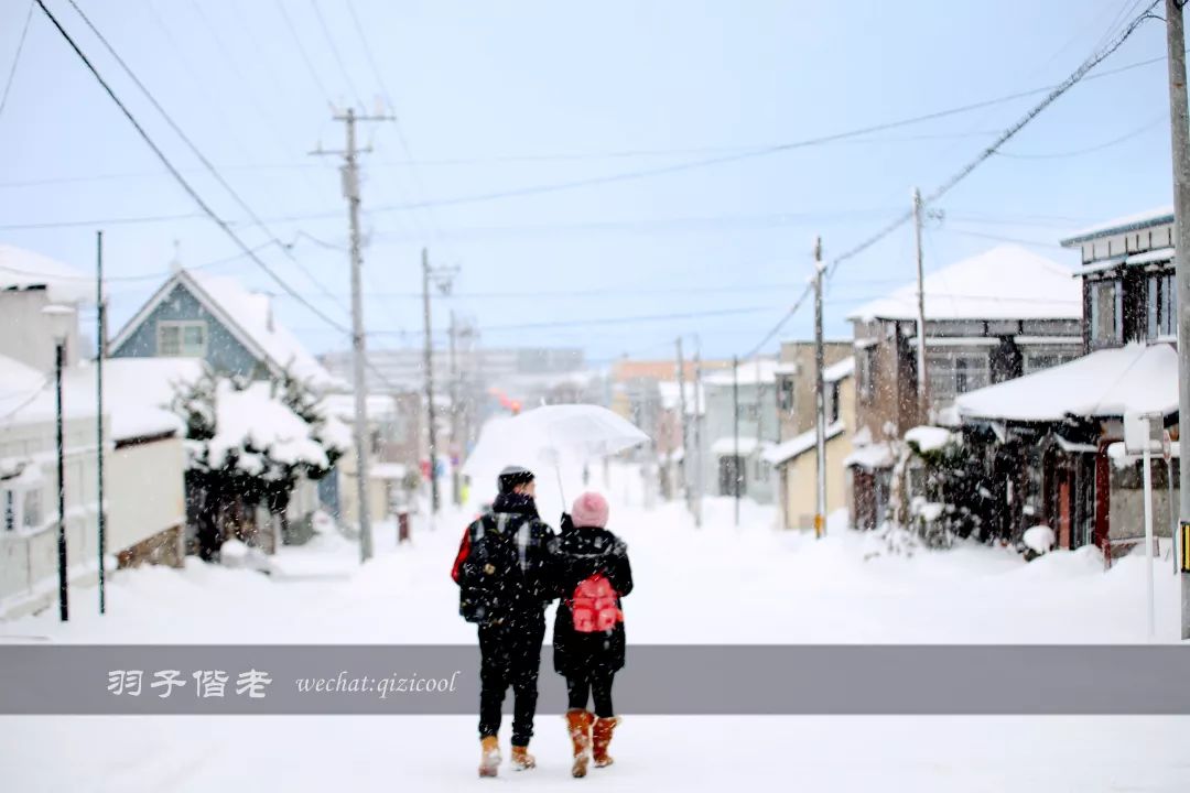 老实说,这一趟北海道就是为了拍好看的照片去的