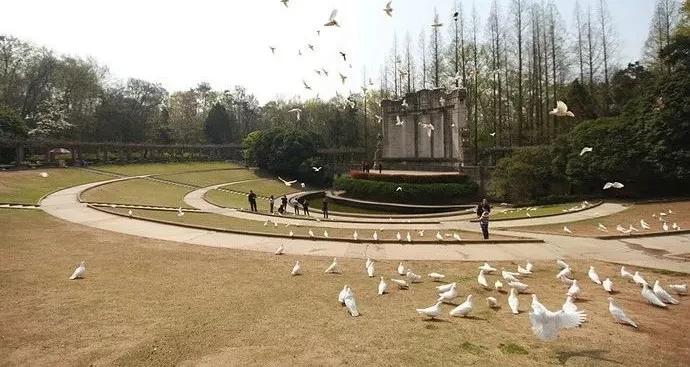 机票白菜价140元起全国各地出发,9月广州出发最便宜机票