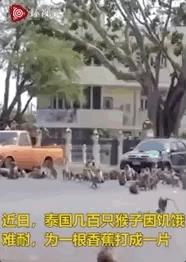 疫情还没结束返工,疫情放开后目前各行业的现状