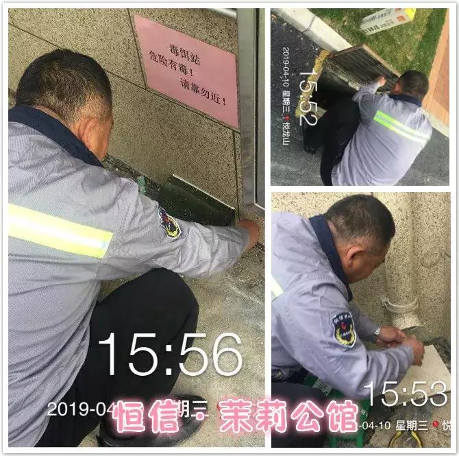 创城有我,创城有我秦皇岛