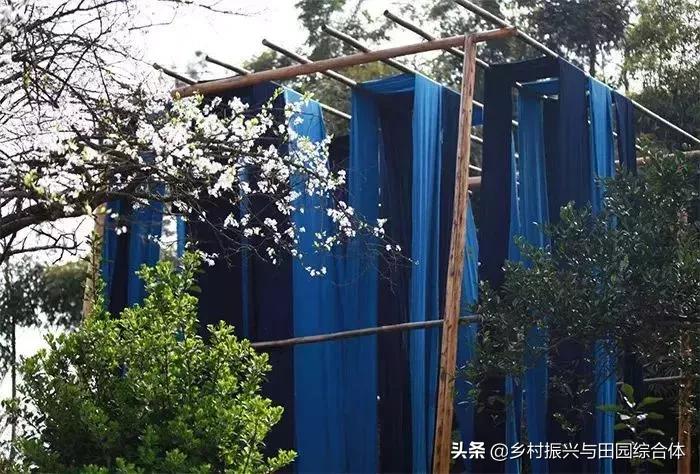 农学院对乡村振兴的促进作用,半农学院