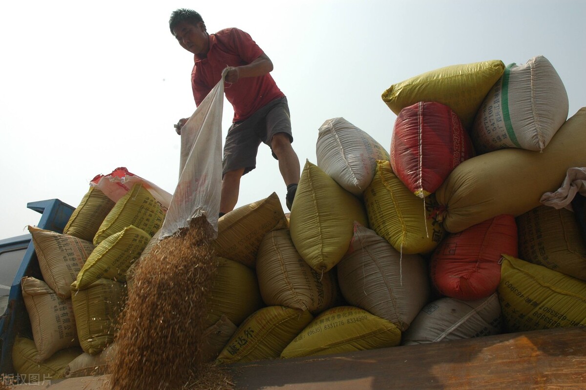 倒春寒对农产品期货的影响,天气炒期货对农产品的影响