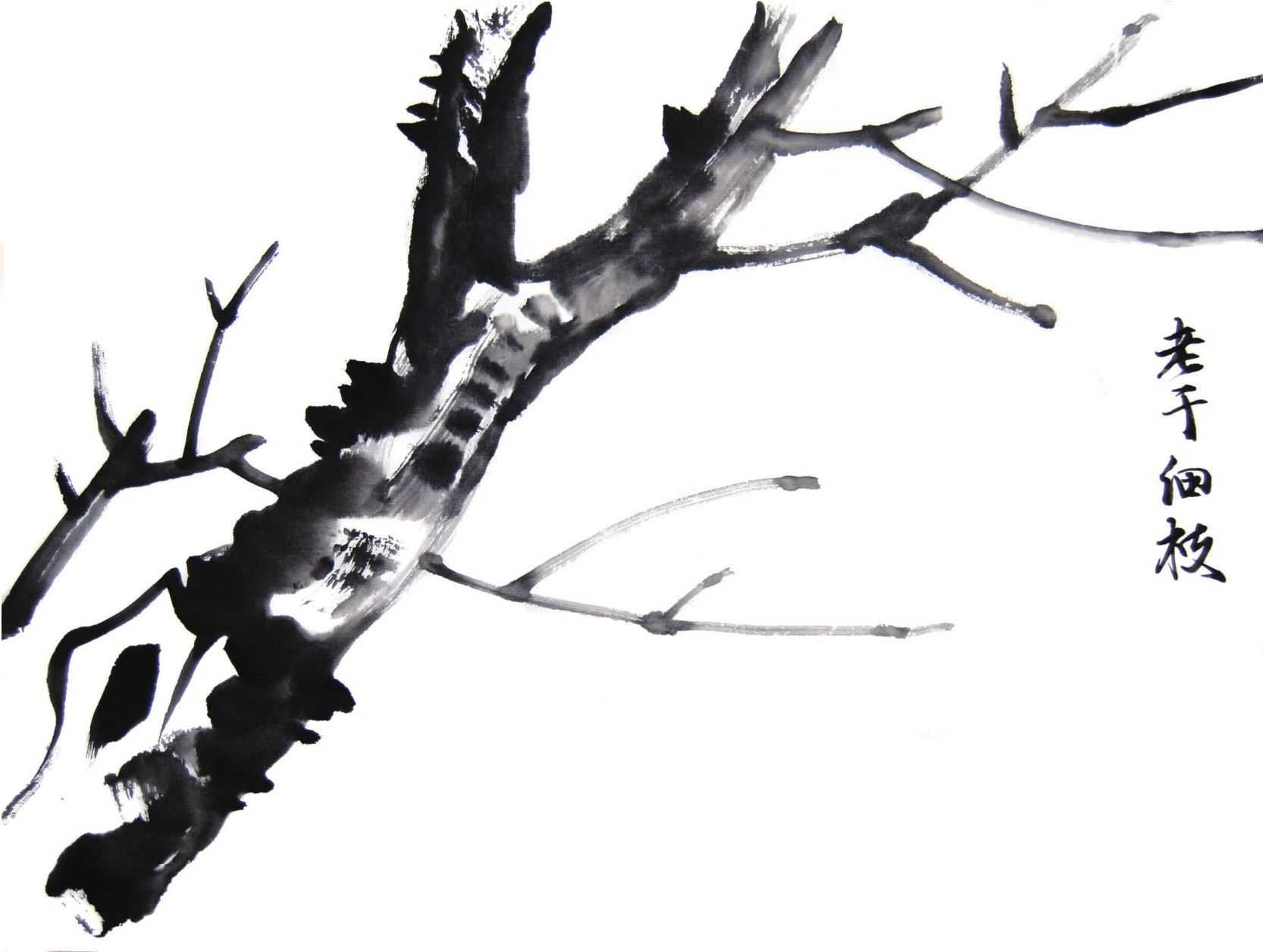 国画教程零基础入门树的画法,国画花卉线稿教程大全