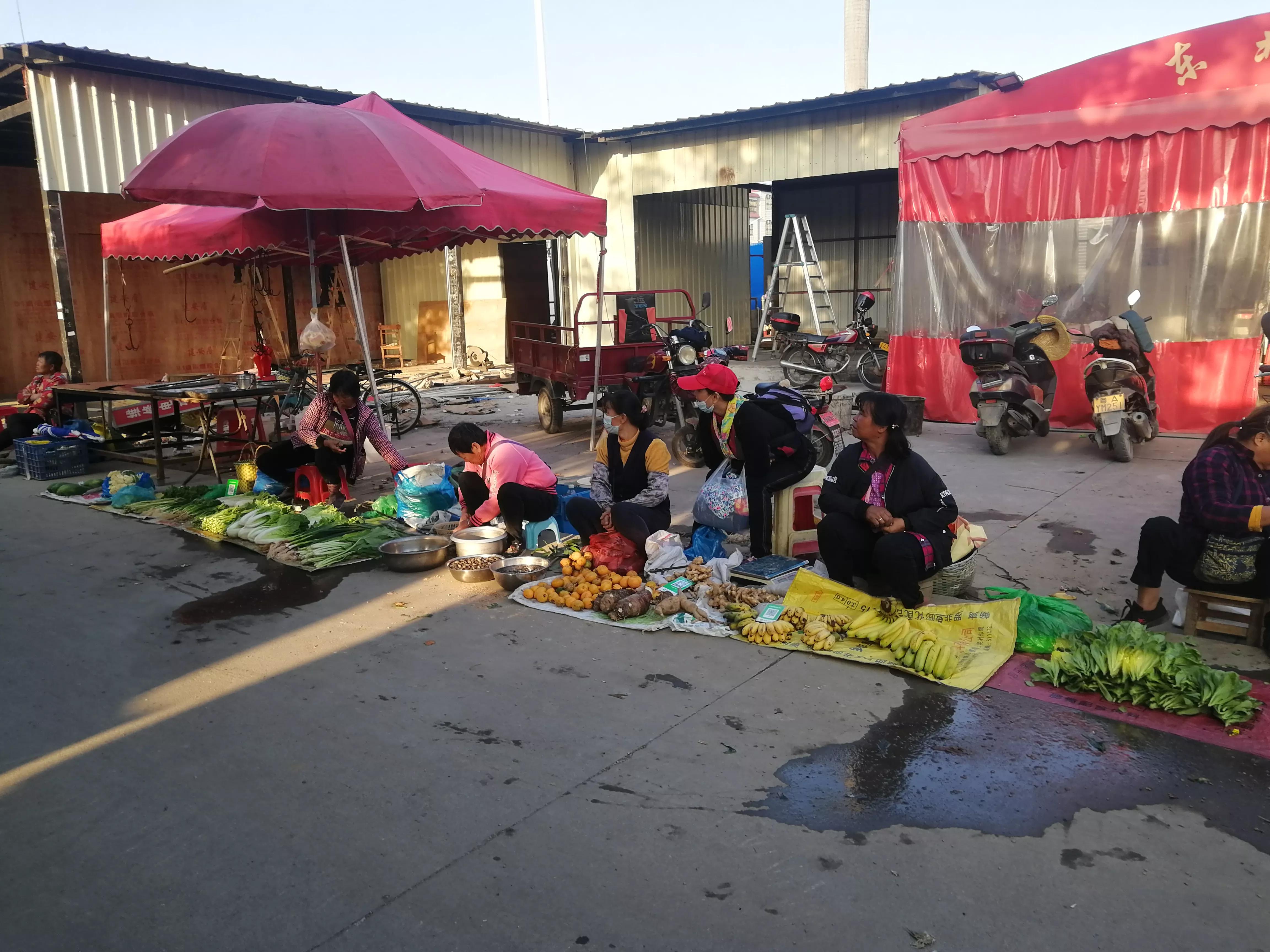 地铁4号线美丽乡村东涌,地铁4号线沿路风景