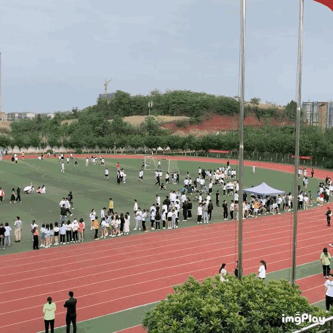 飒!123张图,带你“动+静”看赛场