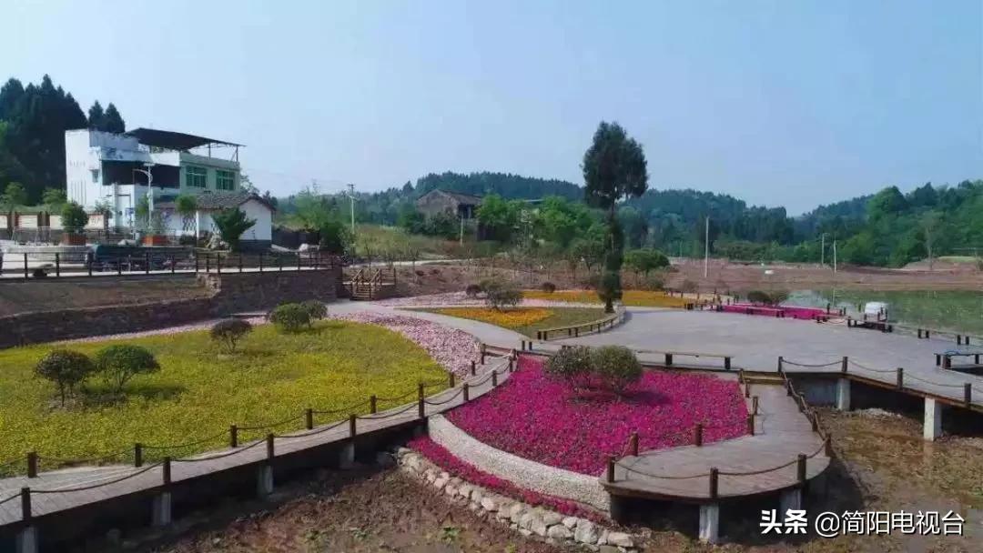 遇见天府雄州|陈新:一道美食映照的修为