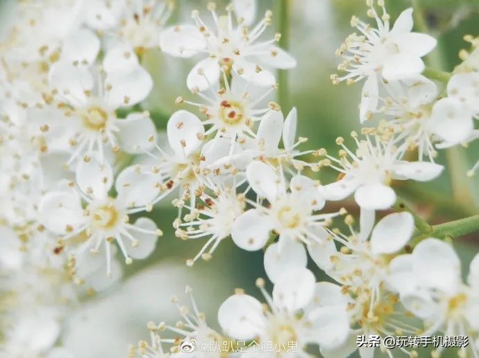 小米手机拍不了横屏照片,小米手机拍不出原有颜色