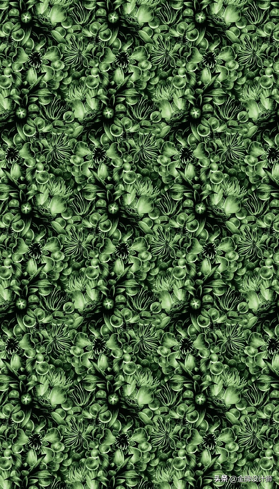 包装ai设计样板,包装设计ai素材