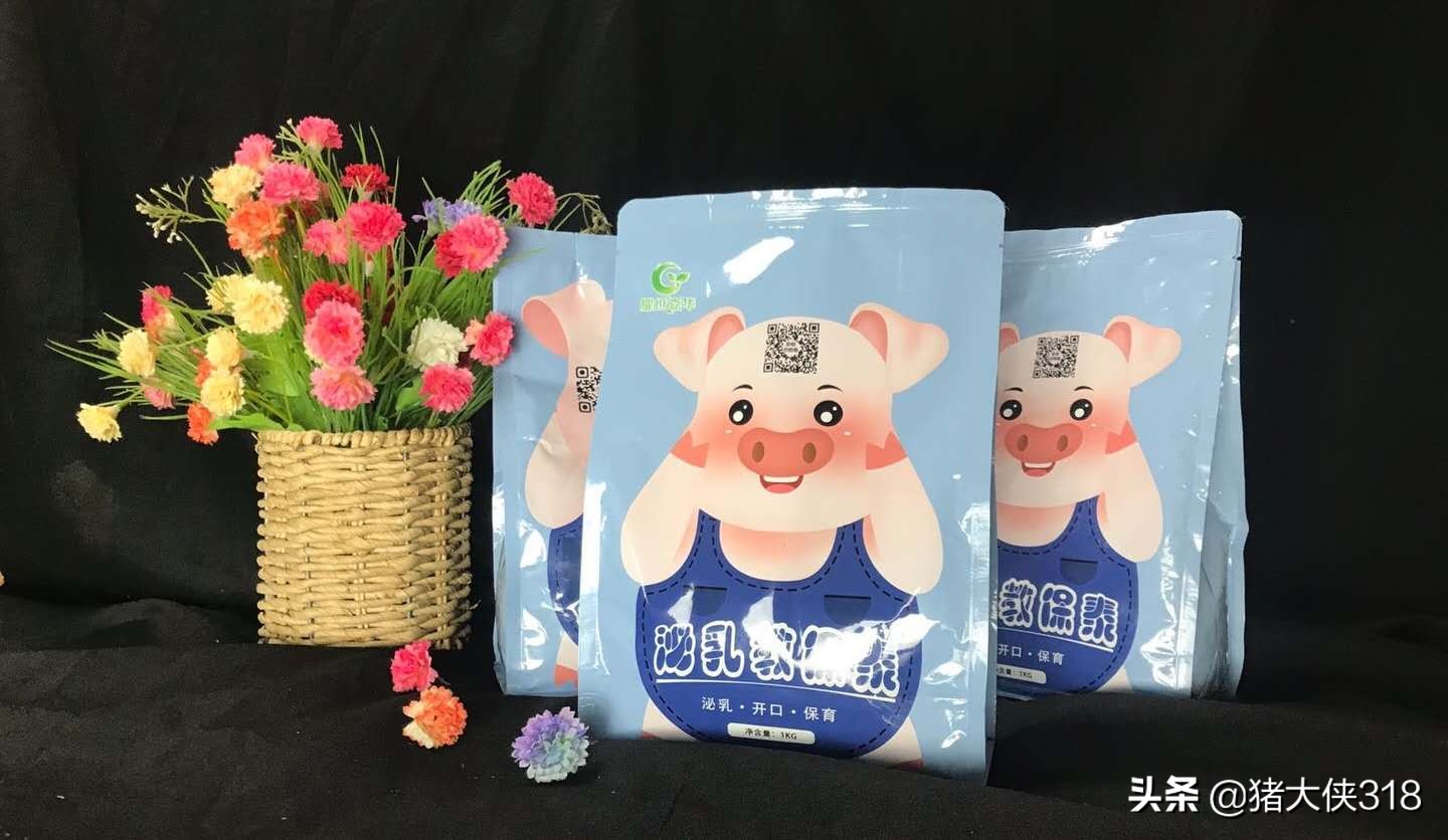 治疗母猪产后无乳的民间偏方,省钱省力有奇效