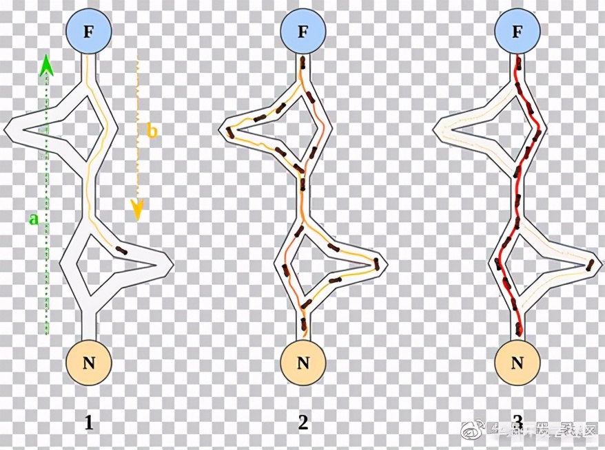 遗传算法对蚁群算法改进,遗传算法实时优化