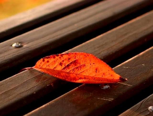 写给正在老去的60后感悟人生,写给60后歌