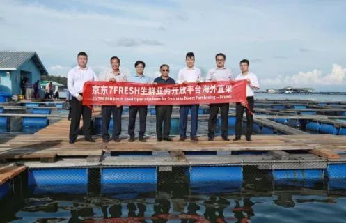 国外有机绿色循环农业,有机农业的弊端