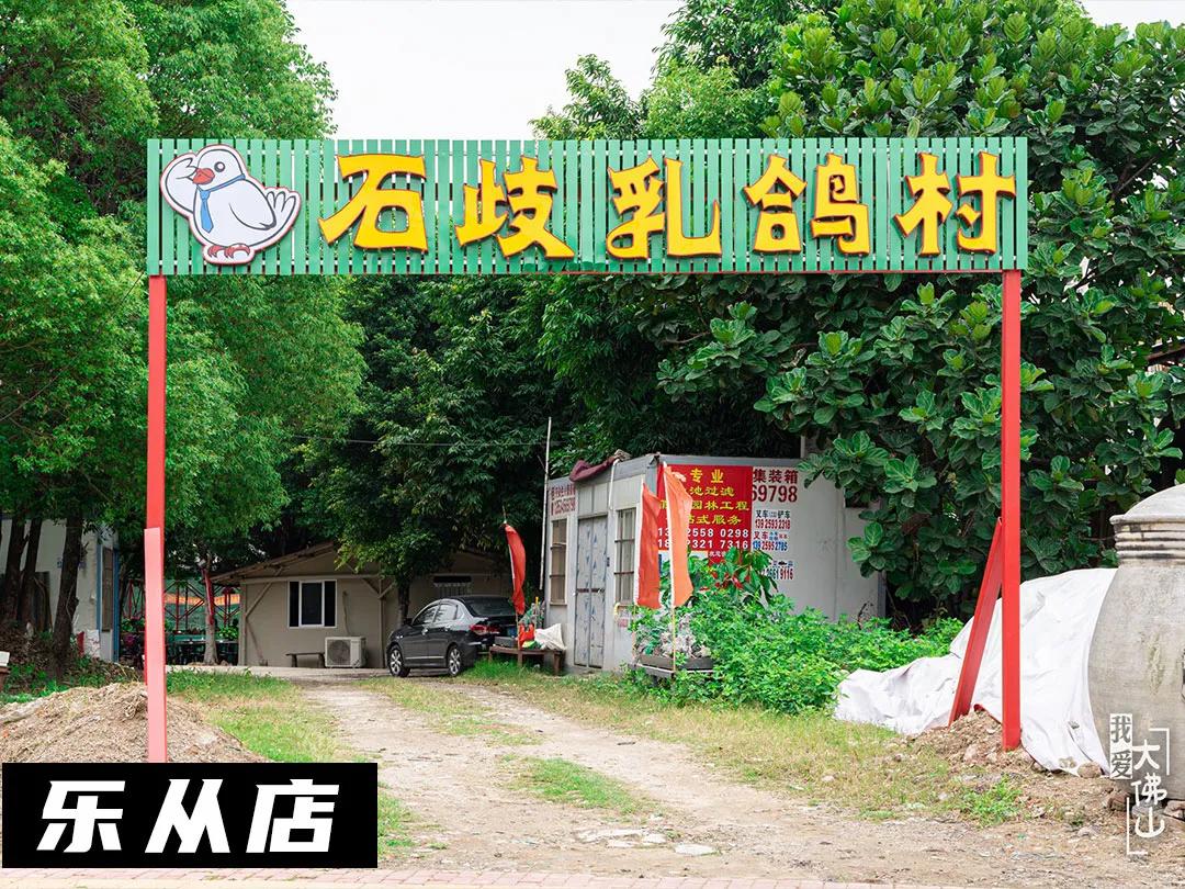 爆汁生炸乳鸽团购,月售肉鸽近7000只