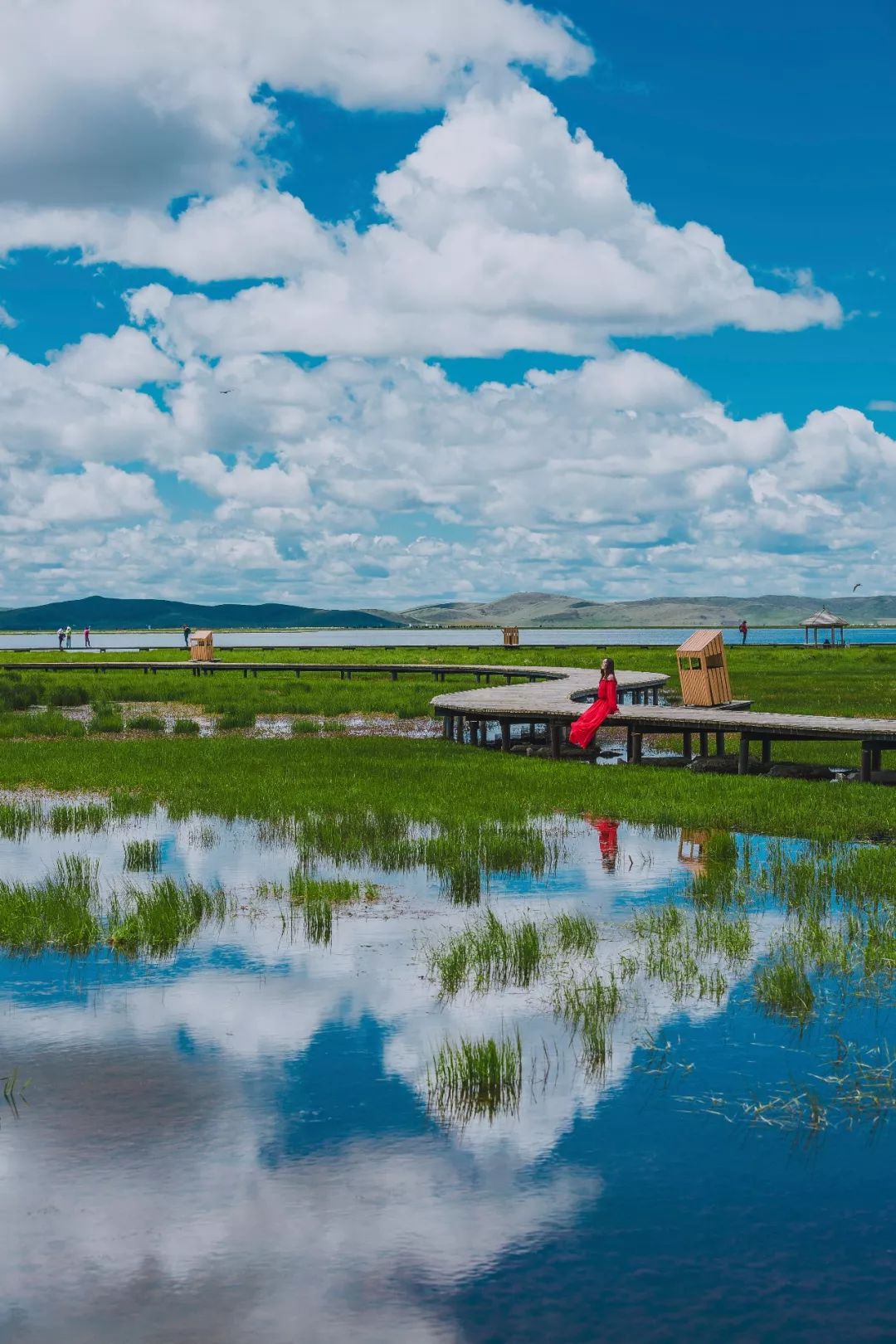 川西若尔盖草原，7月迎来颜值巅峰，温度不到20℃！避暑走起