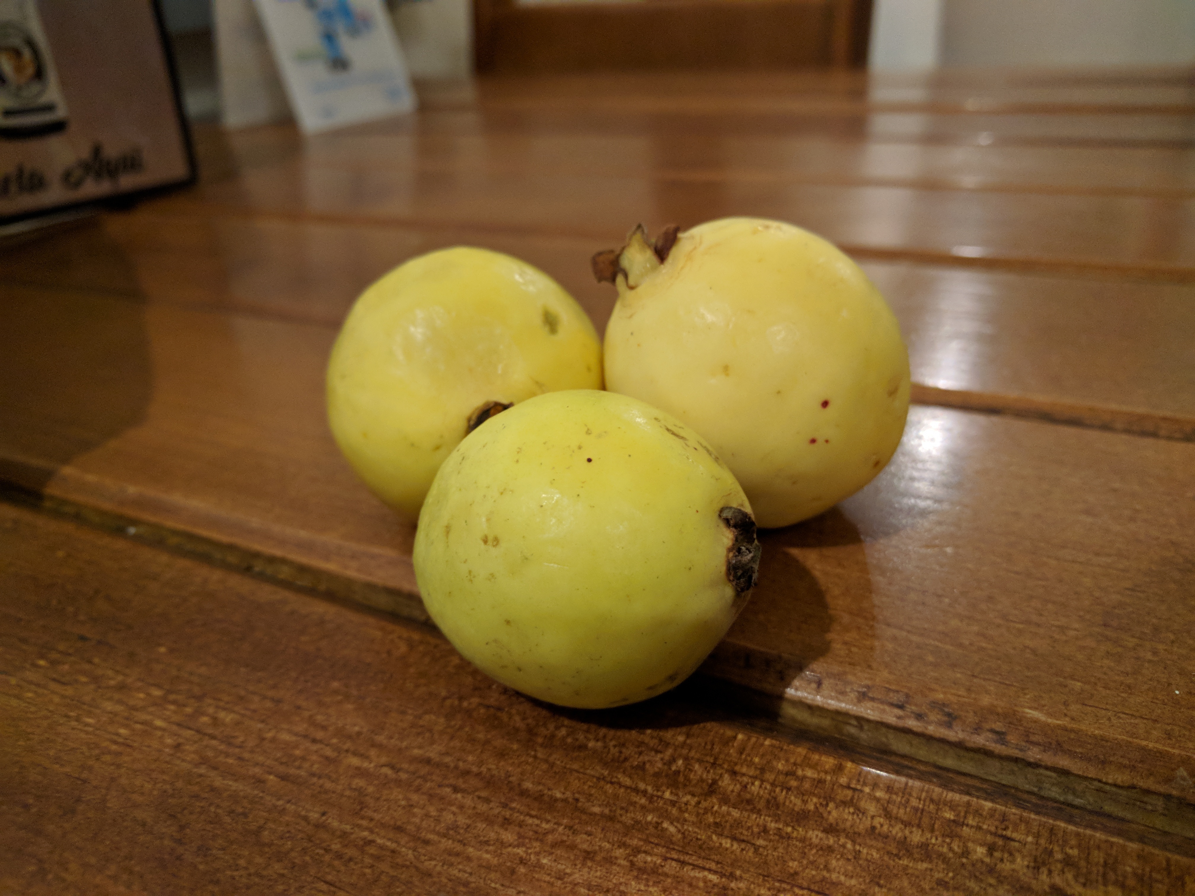 世界上有哪些常见的热带水果,欧洲奇特的水果