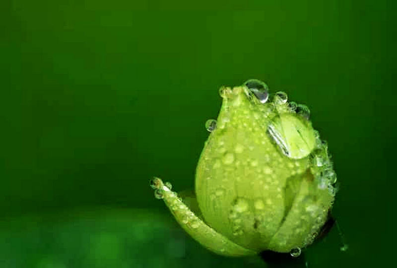 人的善心就是最好的风水,人的善心善行必得福报