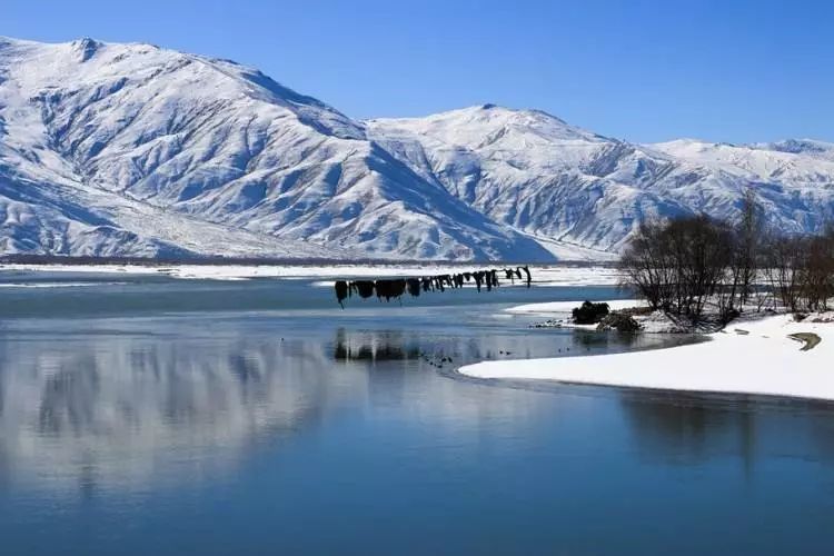 冬天的西藏才是真正的神的天堂,冬日的西藏藏着你不知道的美