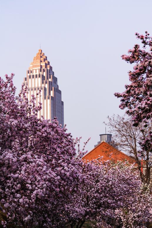 天津7h游玩攻略,畅游天津:精简实用的旅行攻略