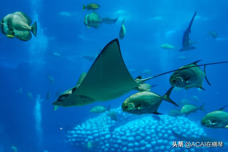 吃喝玩乐in珠海,珠海吃喝玩乐一体的地方