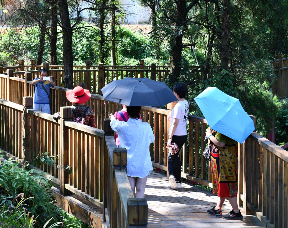 国庆七天乐!揽金超9亿,渝北文旅市场实现“双增长”