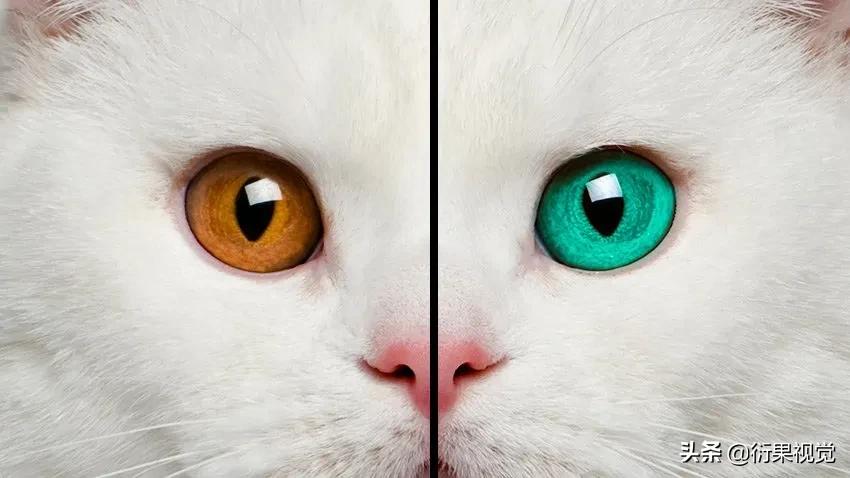 ps怎么把两只眼睛p成一样颜色,ps改图及抠图换背景颜色教程