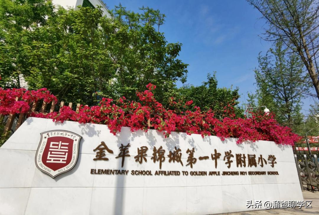 高新区新川板块学区配套如何,成都新川学区落户时间