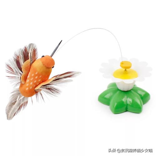 猫咪最爱的7款玩具,猫咪玩具排行榜前十名