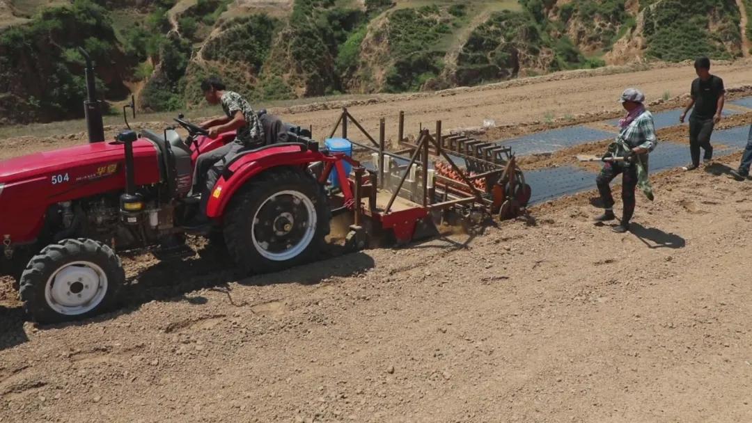 幸福生活到底啥模样,幸福生活到底是什么样的