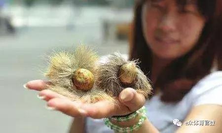 不知道怀孕用了马应龙,孕中期涂了马应龙