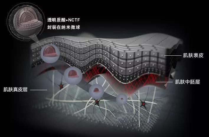 法国雅漾属于几线品牌,雅漾和理肤泉水乳哪个好