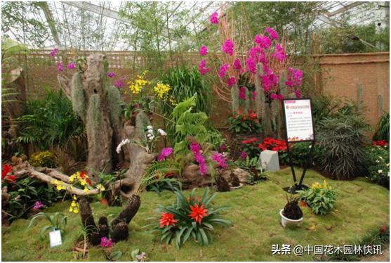 行业盛会视频,行业精英齐聚展会