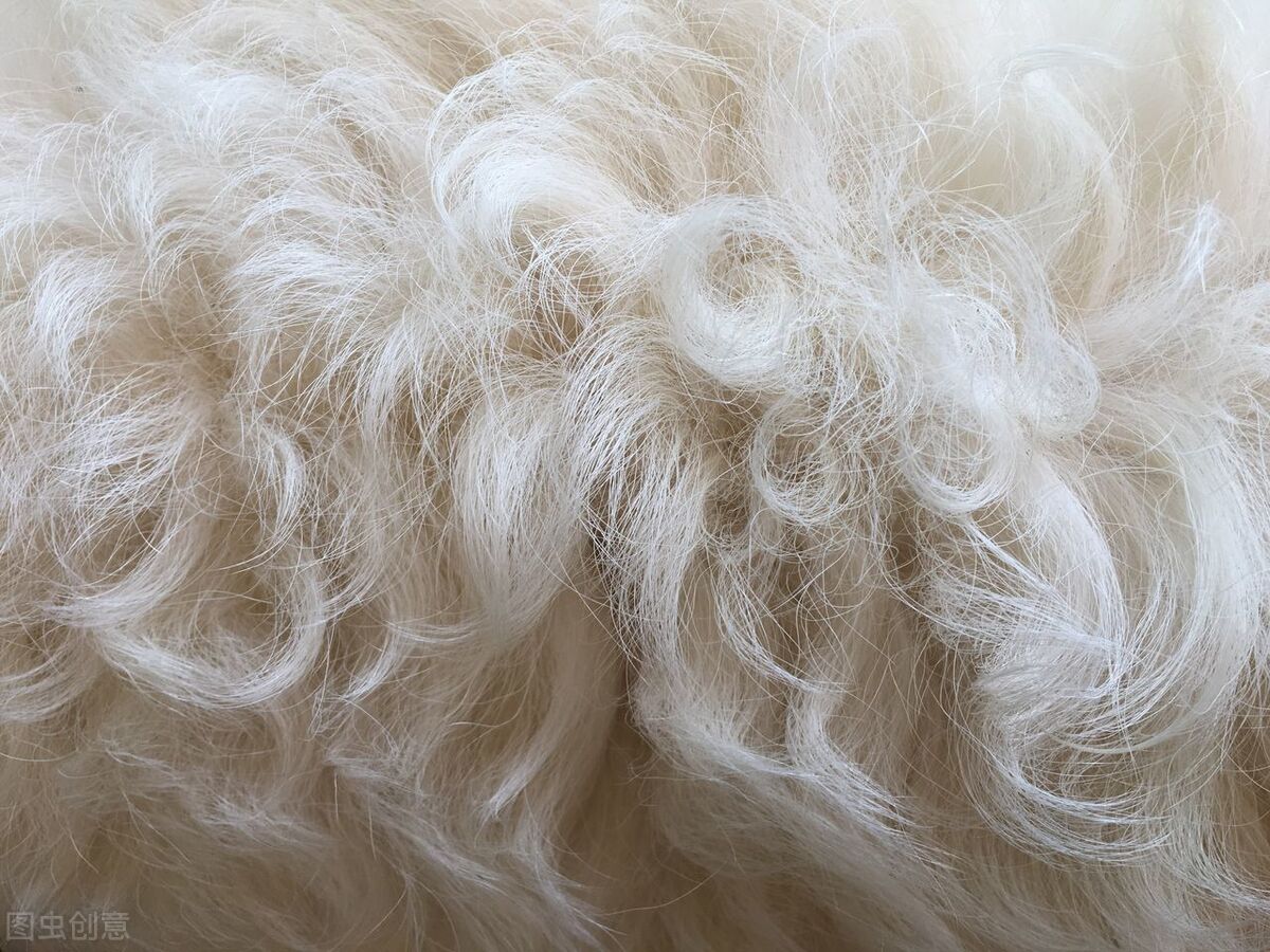 如何清理宠物毛发小妙招,如何除去换洗衣物上的宠物毛发