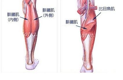 脚后跟部痒水肿,脚后跟酸胀刺痛