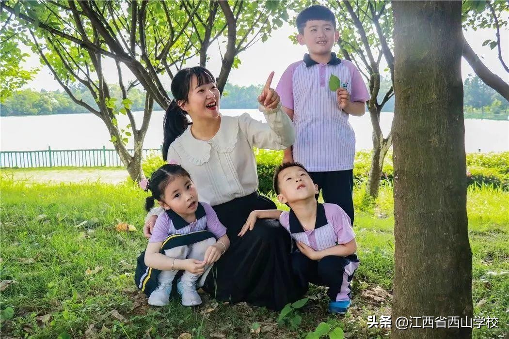 向日葵花开满园，颗颗童心向太阳·江西省西山学校幼儿园