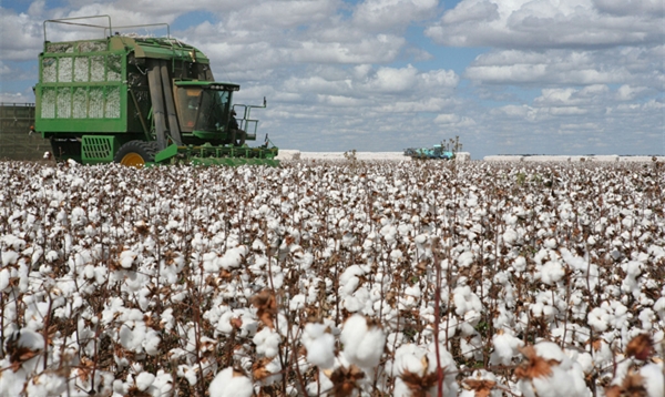 如何正确看待转基因技术和产品？谈“转”色变不应该