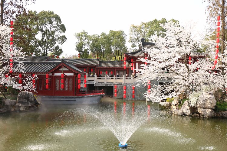 鑻遍泟褰掓潵妯辫姳鏈夌害,妯辫姳鐩涘紑鑻遍泟褰掓潵瀹屾暣瑙嗛