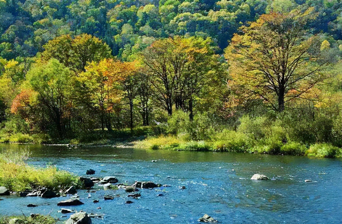 哈尔滨一座震撼人心灵的城市,哈尔滨美丽且温暖的城市
