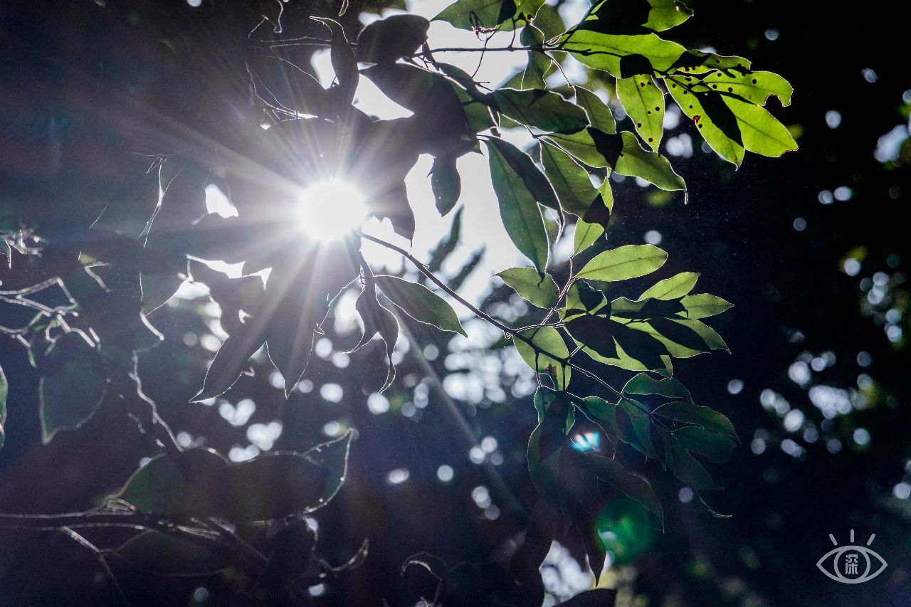 深圳各区最美的地方,深圳6个绝美地方