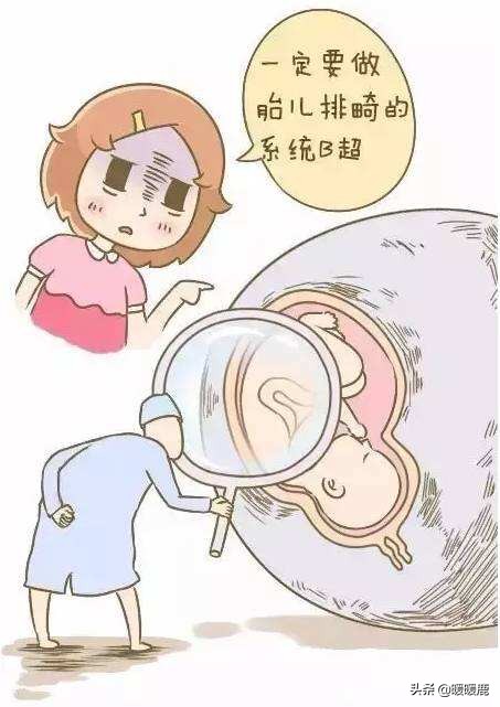 四维彩超和四维有区别吗,二维和三维彩超有什么区别