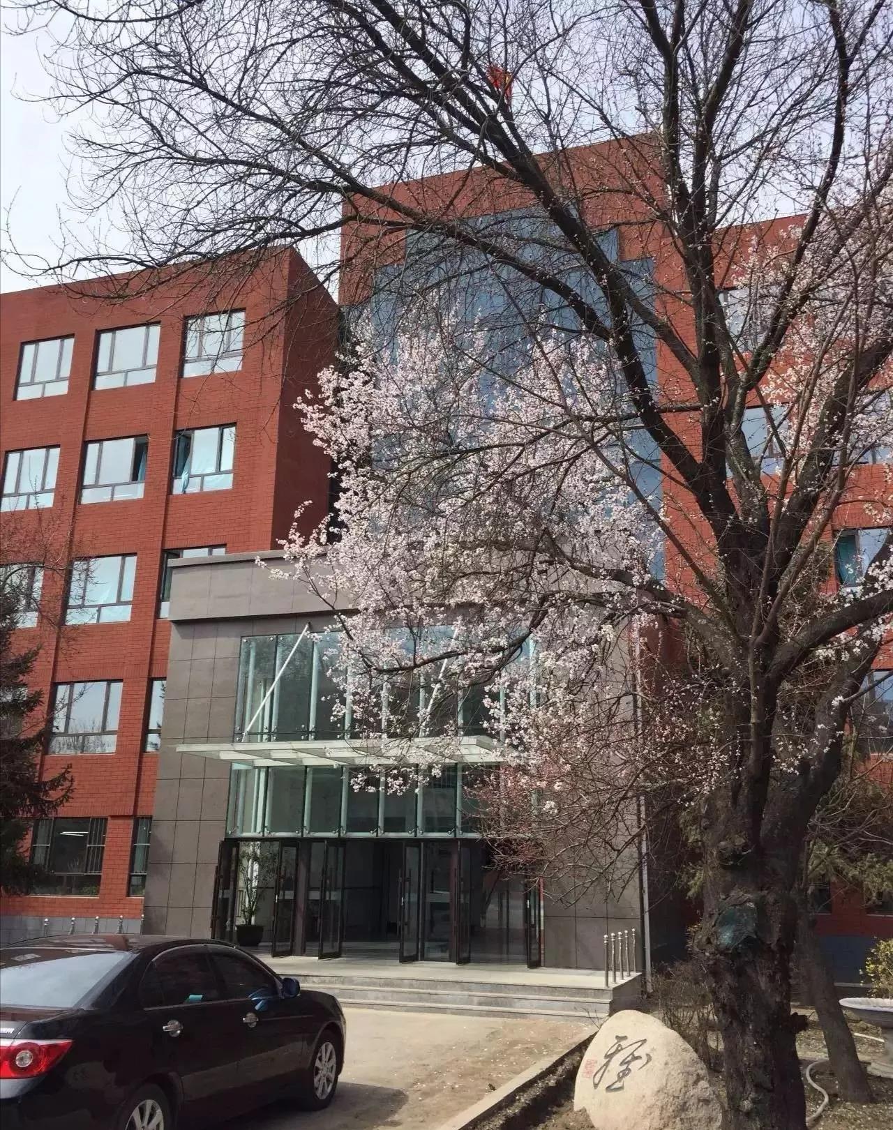 抚顺市第十五高级中学,抚顺市第十二中学现在是省重点吗