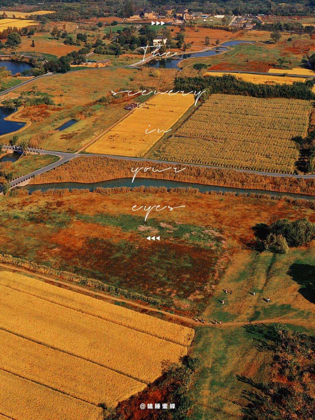 秋天杭州冷门但好看的景点,杭州赏秋景最好的地方