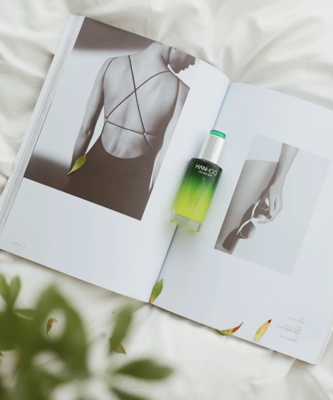 包装巨丑的国货之光精华,被低估的50元国货