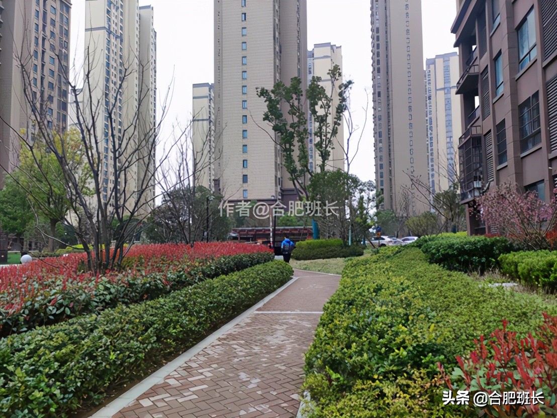 实探二手房,肥西二手房最好的房源