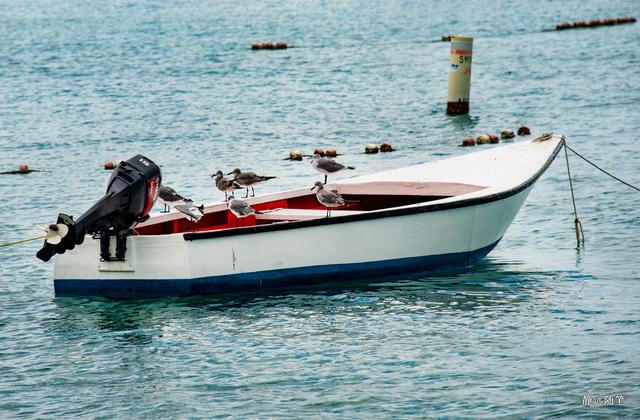 加勒比海邮轮旅行香港,加勒比海游轮旅行视频大全