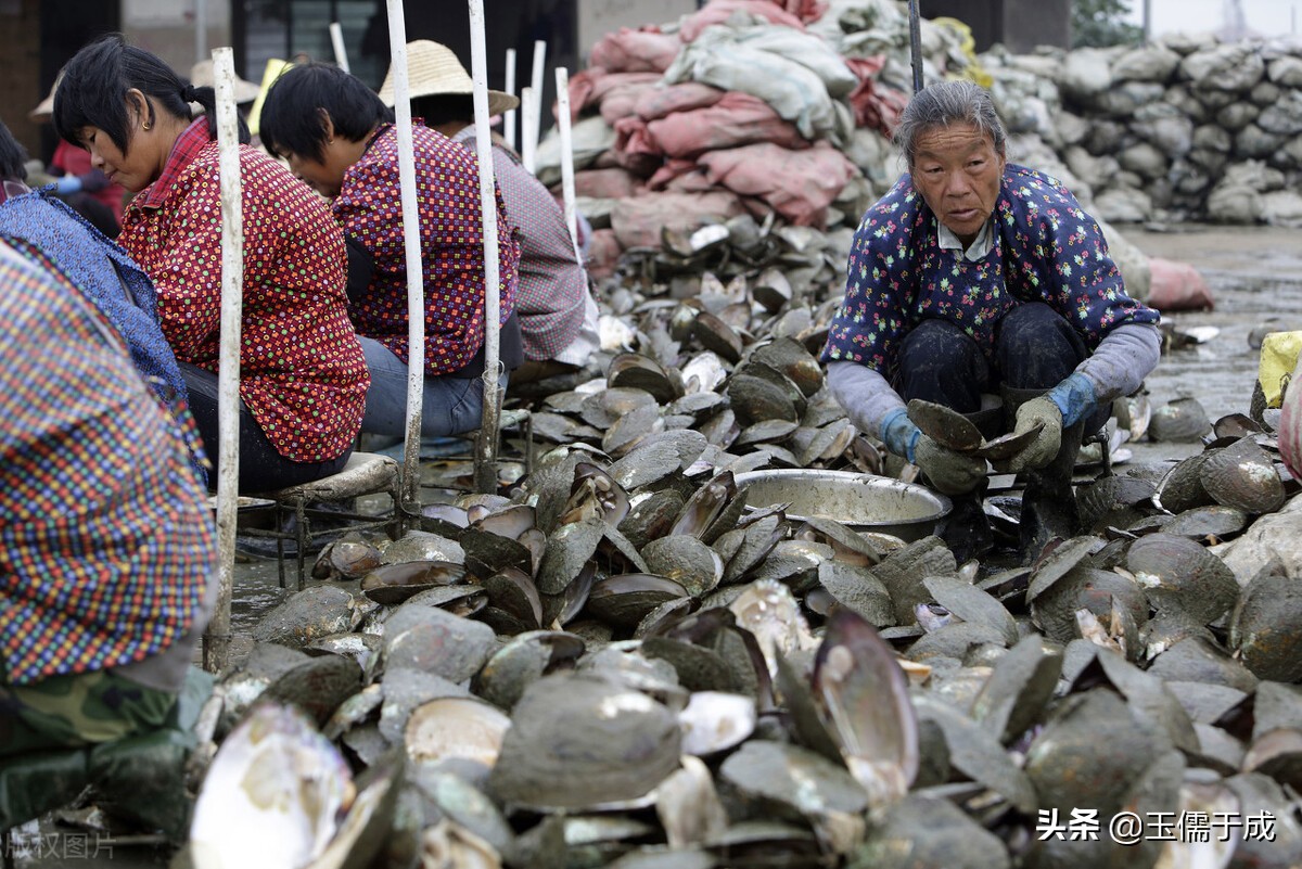 浙江绍兴诸暨山下湖珍珠市场,中国最大珍珠批发诸暨市场