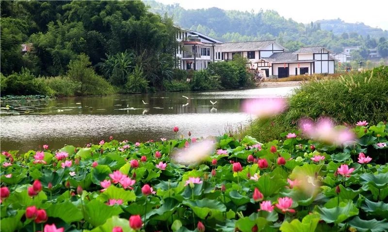 我的当兵之路800字,我的参军路